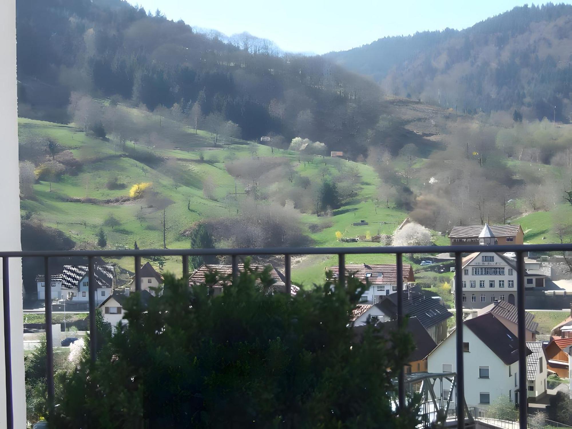 Regina'S Gaestehaus Weisenbach Екстериор снимка